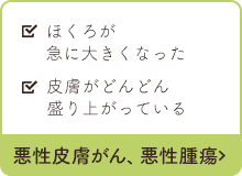 悪性皮膚がん、悪性腫瘍