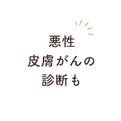 悪性皮膚がんの診断も